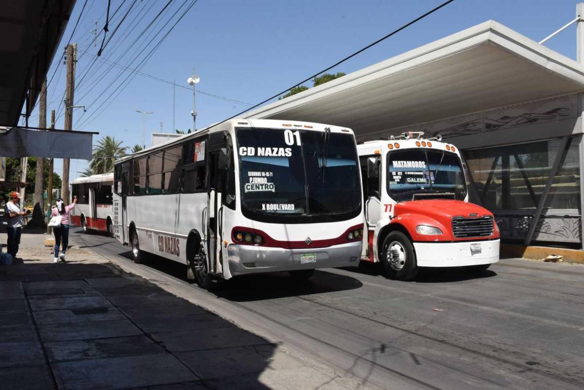 Dirección de Transporte Público sin quejas por el servicio brindado durante las vacaciones