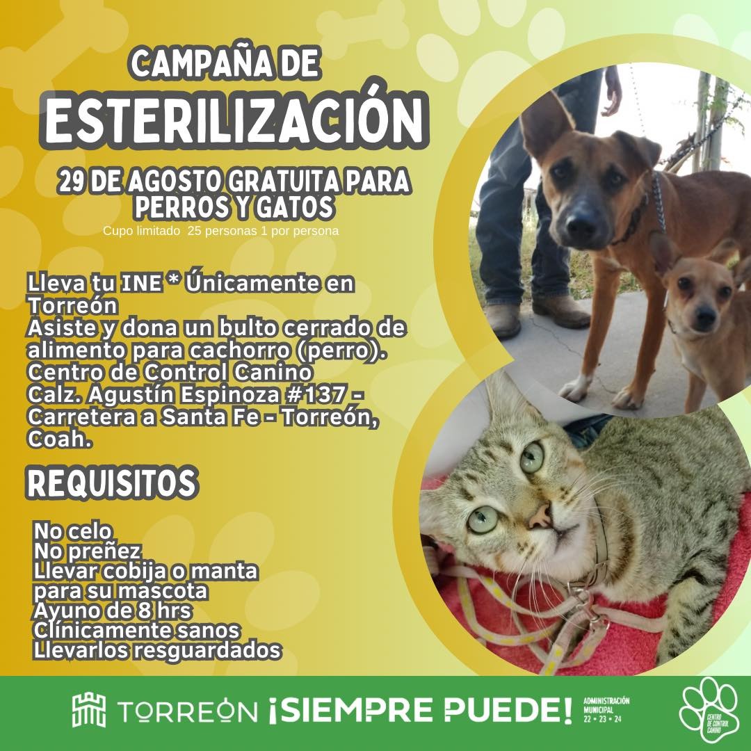 Invitan a brigada de esterilizaciones gratuitas para animales de compañía