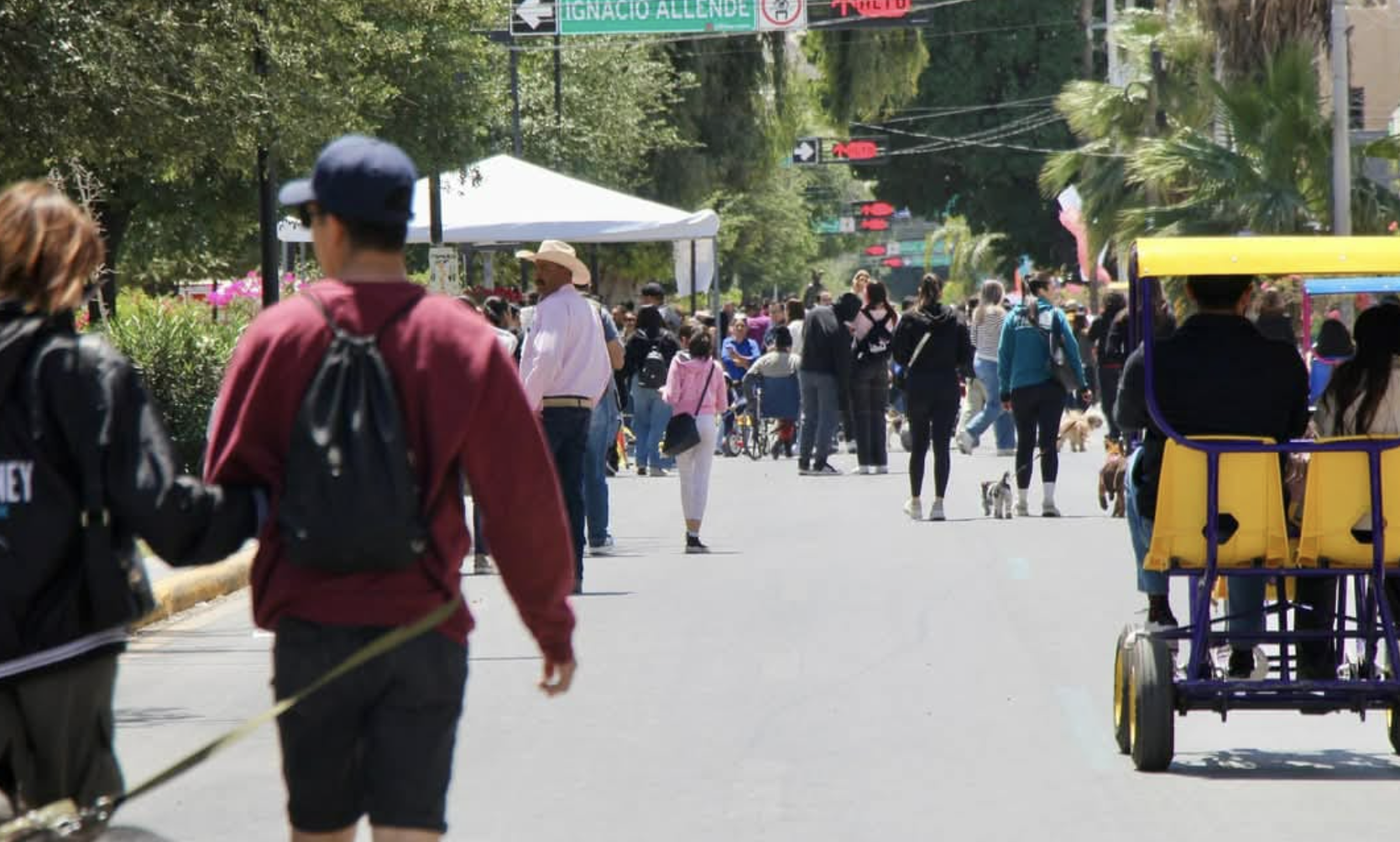 Invitan a disfrutar de las actividades familiares que tendrá el Paseo Colón