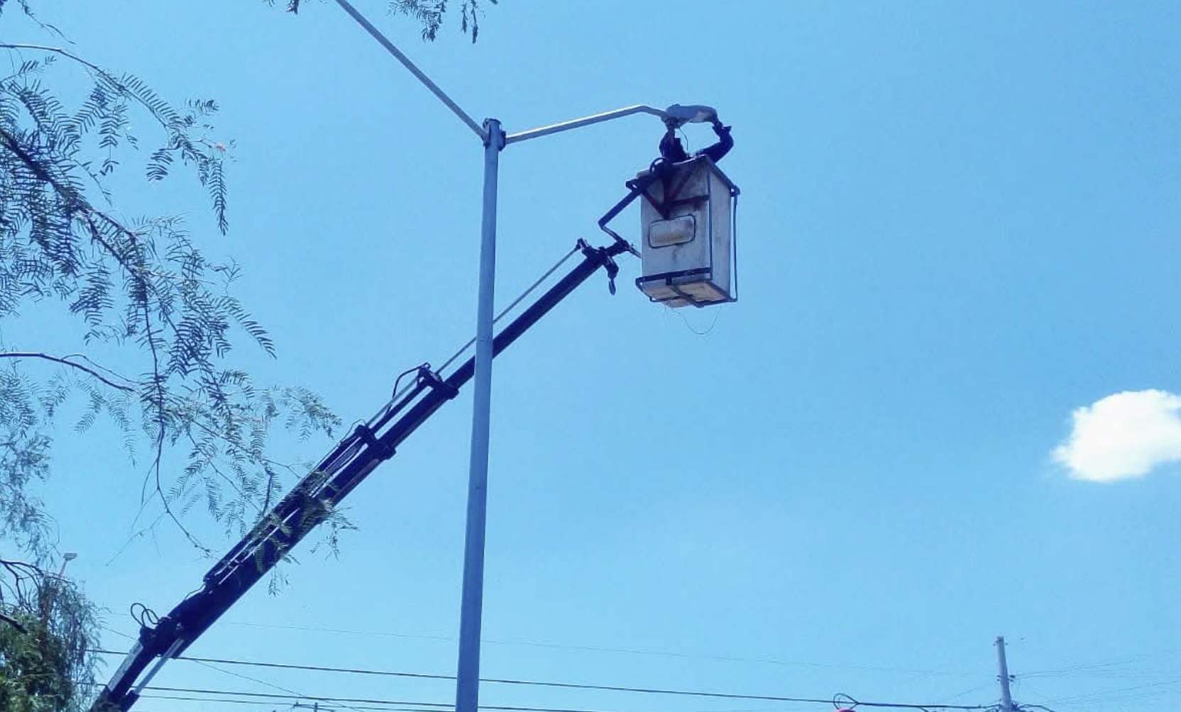 La Línea Verde brilla más con el refuerzo de nuevas luminarias