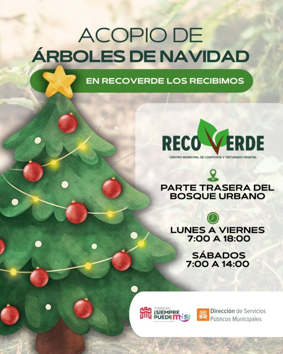 Programa Recoverde transforma los pinos navideños naturales en acolchado vegetal