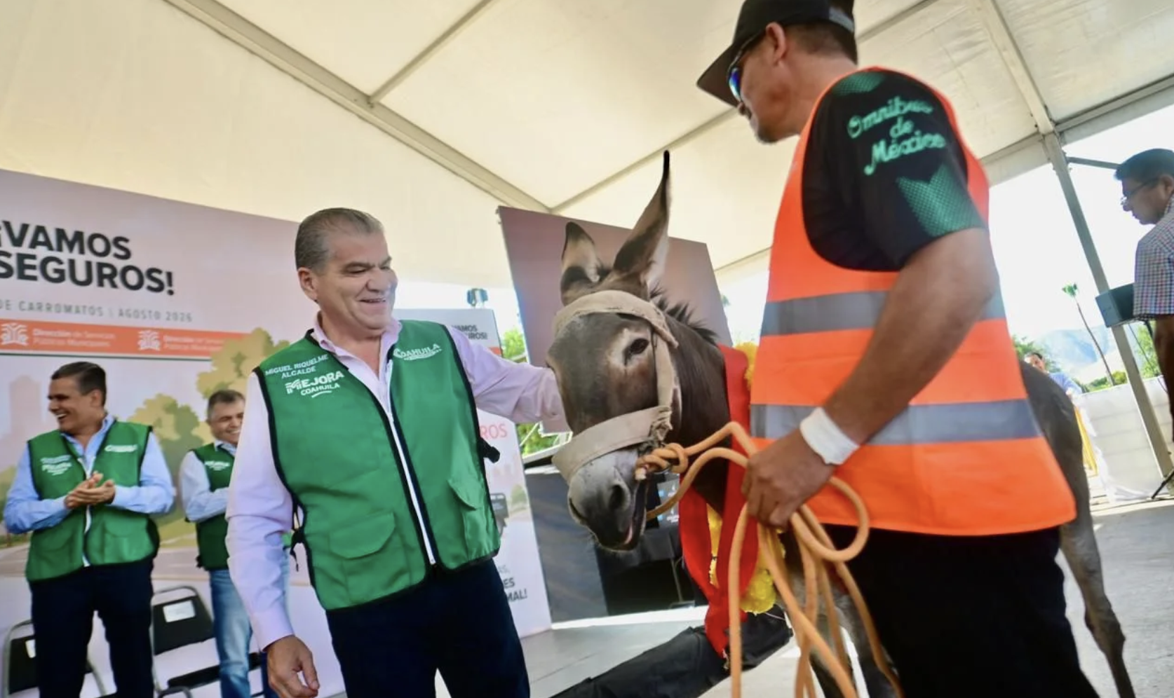 Hoy se jubilaron 130 caballos y burros de carga en Torreón